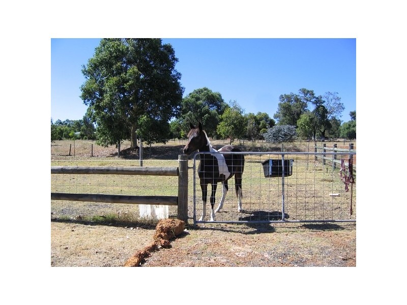 109 Devon Way, Lower Chittering WA 6084