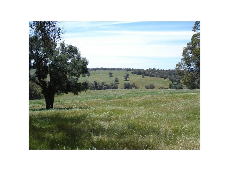 36 Dexter Chase, Lower Chittering WA 6084