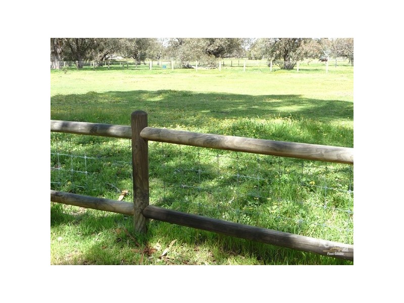 Lot 581 Archibald Street, Muchea WA 6501