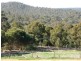 29 Aborfield Way, Bullsbrook WA 6084