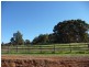 29 Aborfield Way, Bullsbrook WA 6084