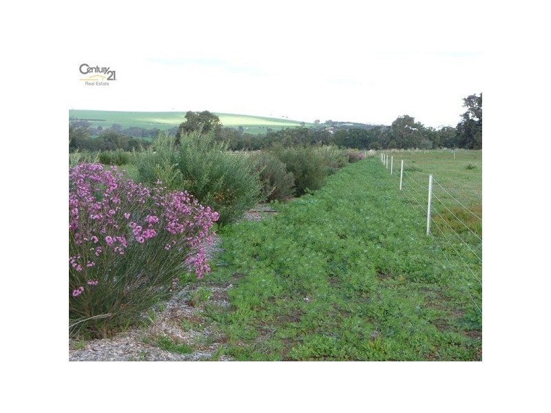 363 Cairn Crescent, Gingin WA 6503