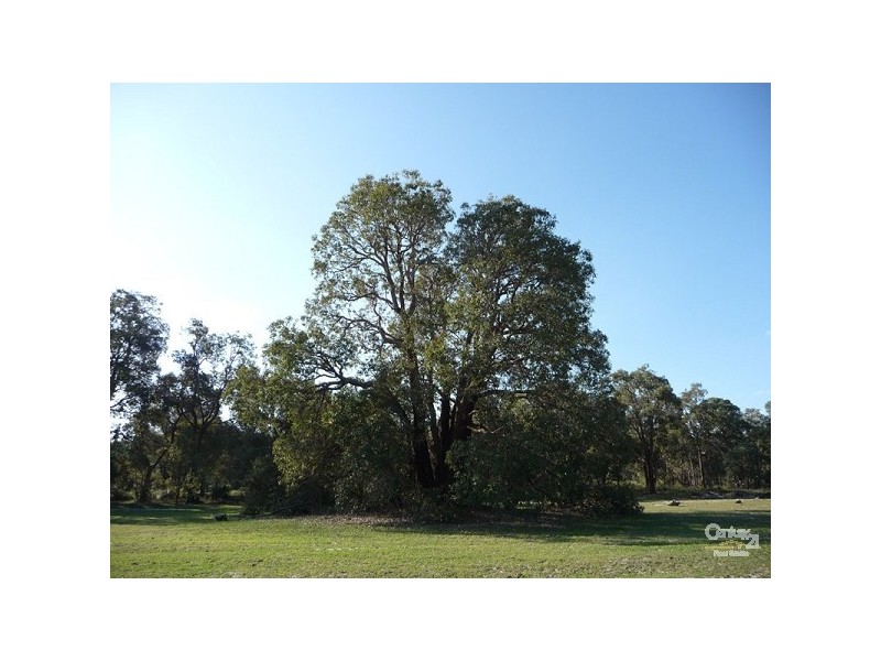 201 Jenkins Rd, Bullsbrook WA 6084