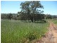 Lot 124 Gibbard Place, Bullsbrook WA 6084