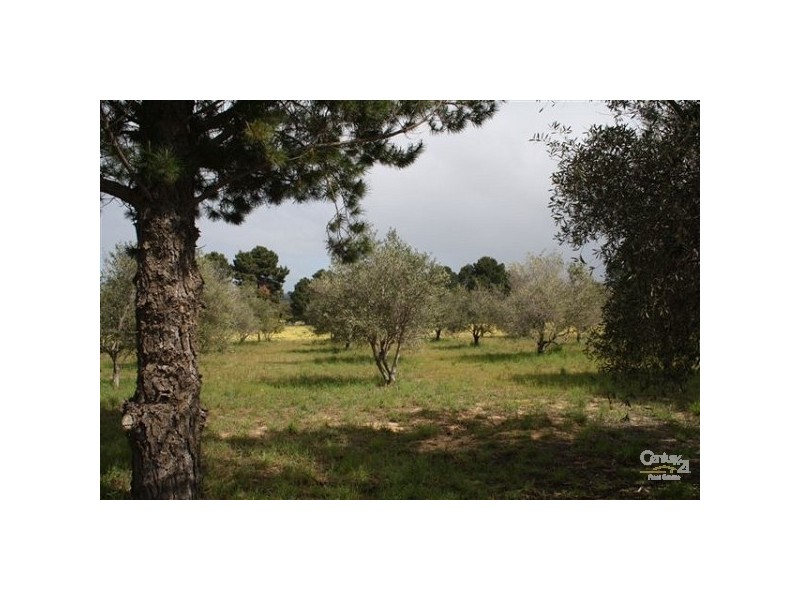 72 Kimberley Street, Bullsbrook WA 6084