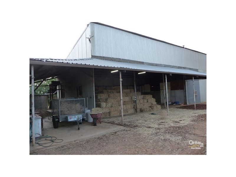 72 Kimberley Street, Bullsbrook WA 6084