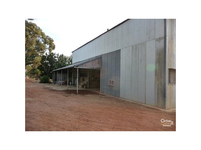 72 Kimberley Street, Bullsbrook WA 6084