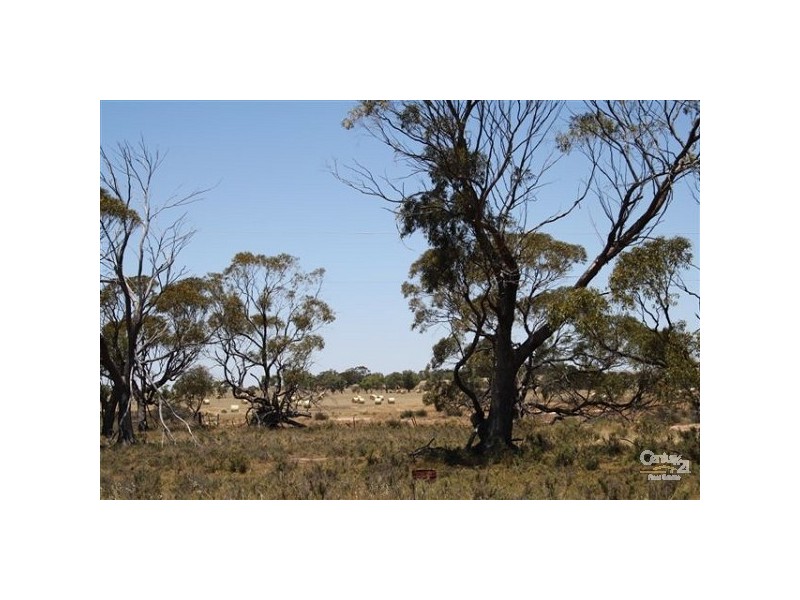 Lot 3 Southern Brook Road, Northam WA 6401