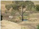 19 Gibbard Place, Bullsbrook WA 6084