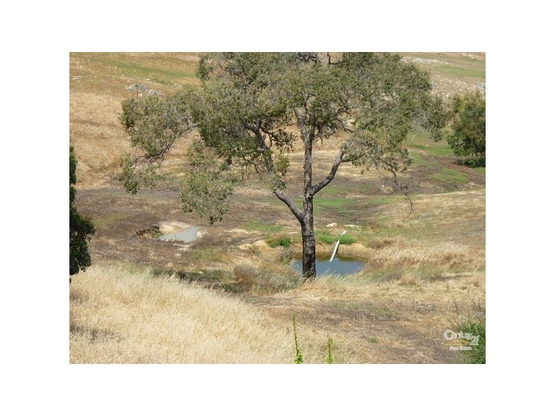 19 Gibbard Place, Bullsbrook WA 6084