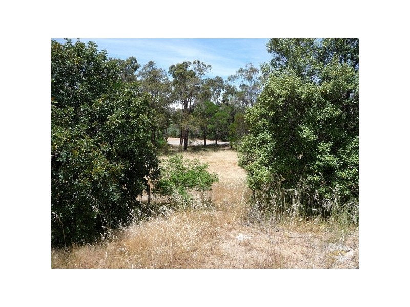 13 Tame Road, Bakers Hill WA 6562