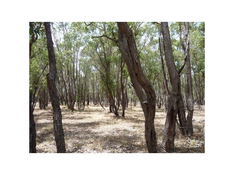 350 Santa Gertrudis Drive, Bullsbrook WA 6084