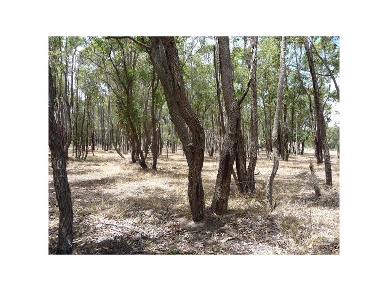 350 Santa Gertrudis Drive, Lower Chittering WA 6084