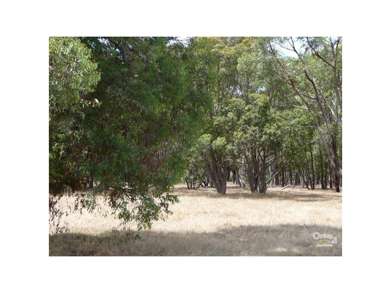 350 Santa Gertrudis Drive, Lower Chittering WA 6084