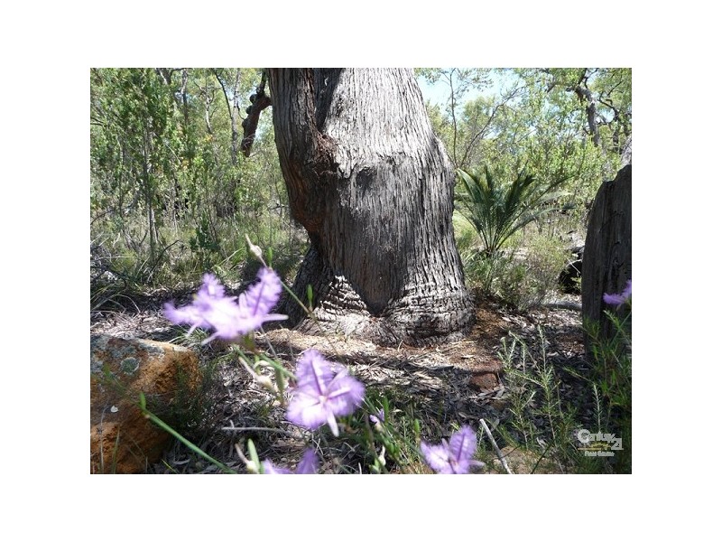 Lot 131 Kingfisher Crt, Bindoon WA 6502