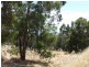 200 Ridgewood Loop, Bullsbrook WA 6084