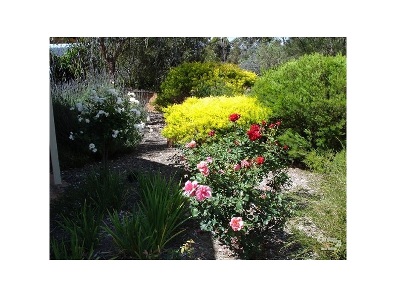 117 Fraser Rd, Bullsbrook WA 6084
