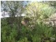 11 Ridgetop Trail, Bullsbrook WA 6084