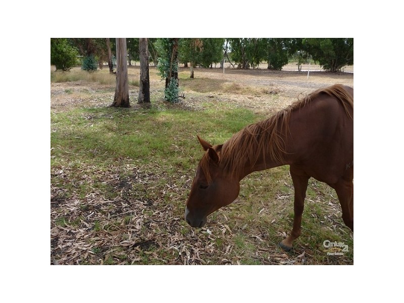 40 Carl Street, Muchea WA 6501