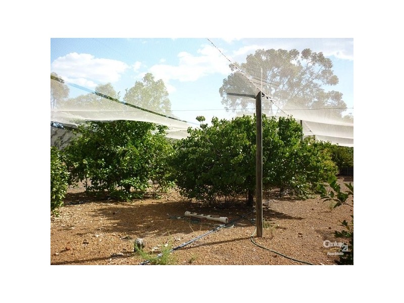 16 Egret Place, Chittering WA 6084