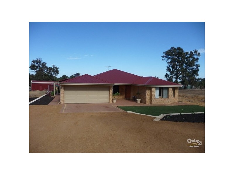 305 Maine Anjou Drive, Lower Chittering WA 6084