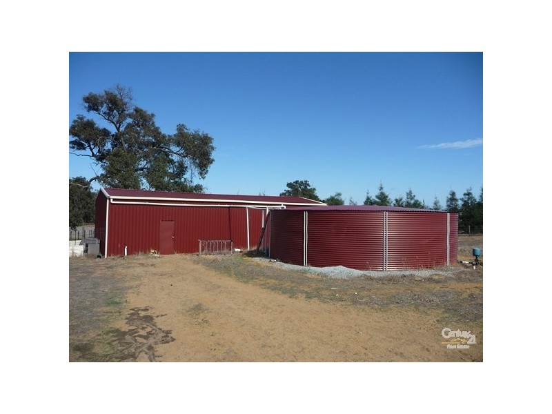 305 Maine Anjou Drive, Lower Chittering WA 6084