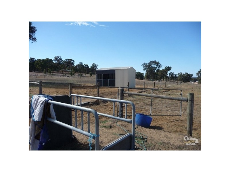 305 Maine Anjou Drive, Lower Chittering WA 6084