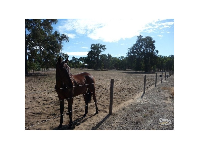 305 Maine Anjou Drive, Lower Chittering WA 6084