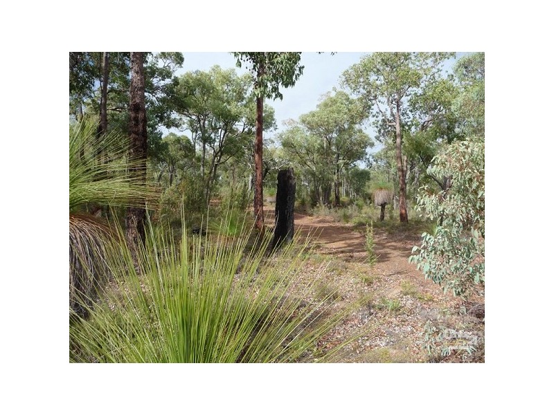 110 Patersonia Road, Chittering WA 6084