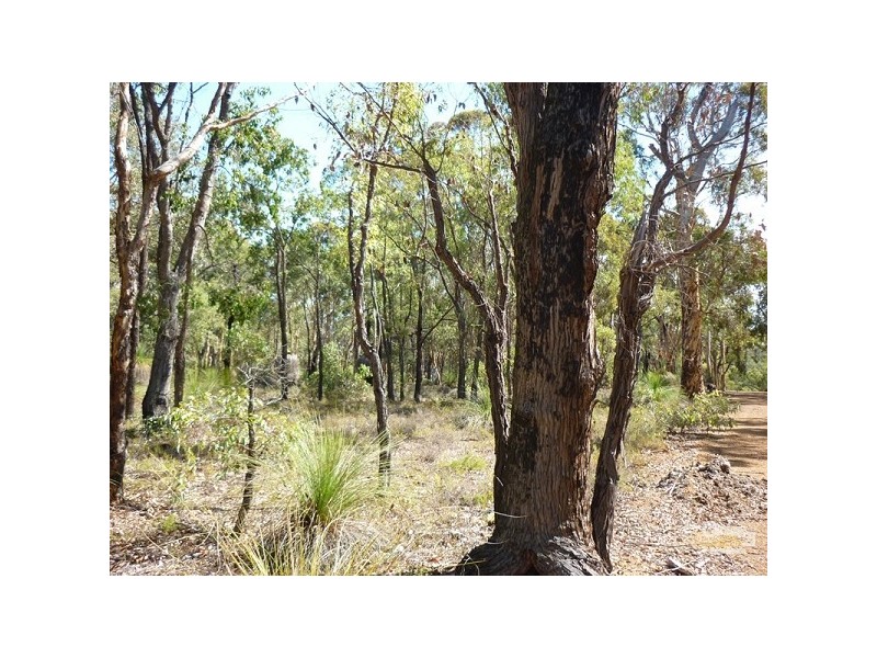 117 (L206) Leschenaultia Drive, Chittering WA 6084