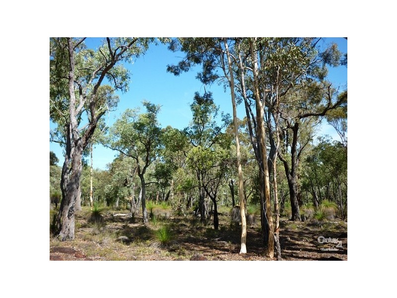 117 (L206) Leschenaultia Drive, Chittering WA 6084