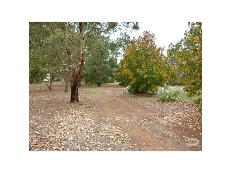 123 Ridgewood Loop, Bullsbrook WA 6084