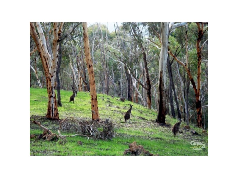 123 Ridgewood Loop, Bullsbrook WA 6084