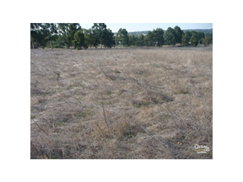 9 Charolais Trail, Lower Chittering WA 6084