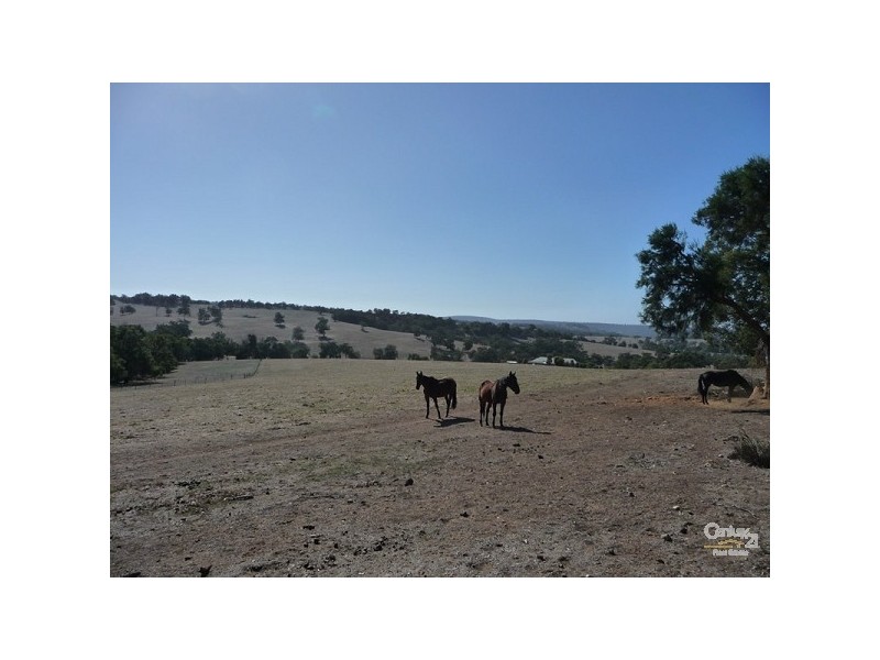 36 Dexter Chase, Lower Chittering WA 6084