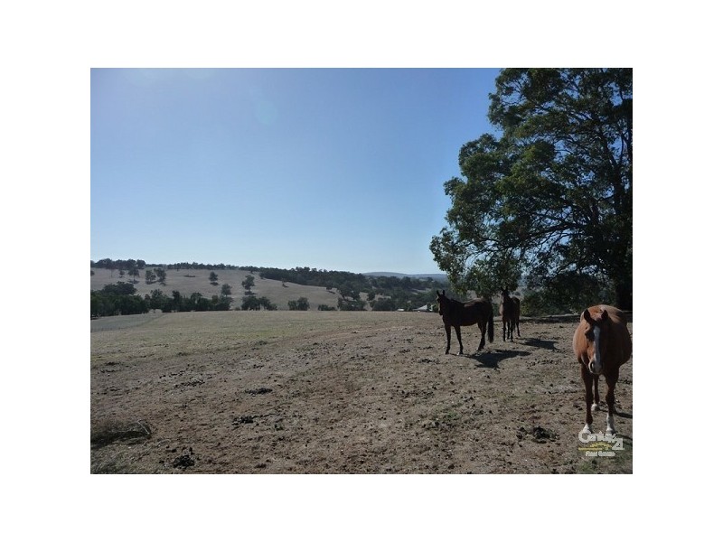 36 Dexter Chase, Lower Chittering WA 6084