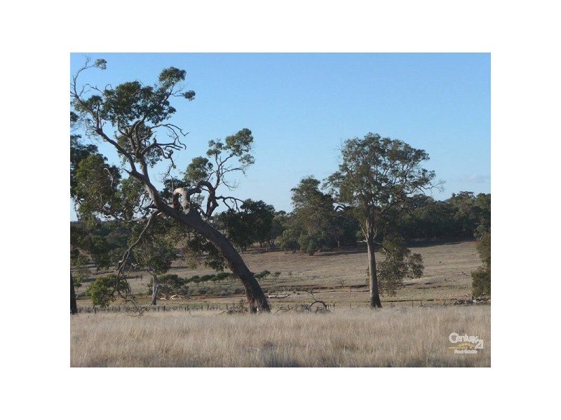 59 Turtledove Drive, Lower Chittering WA 6084