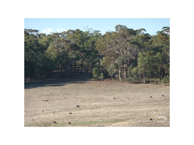 59 Turtledove Drive, Lower Chittering WA 6084