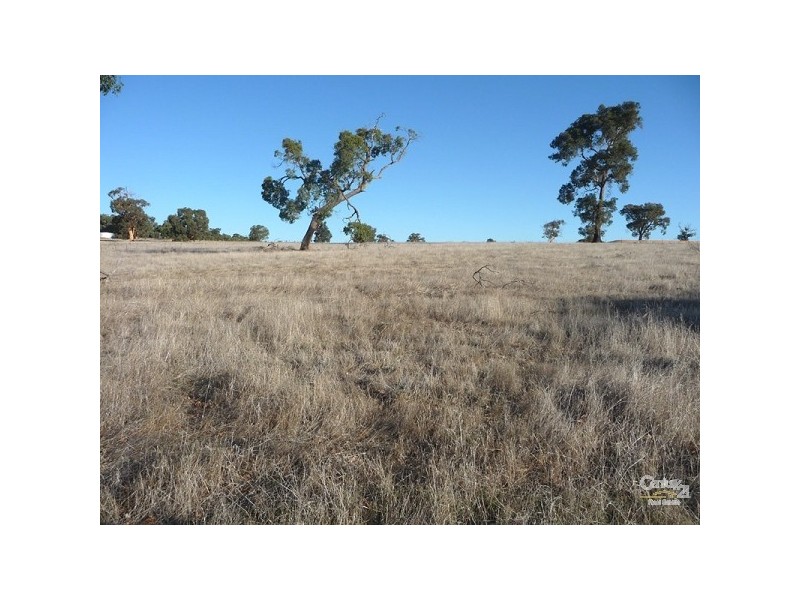 59 Turtledove Drive, Lower Chittering WA 6084