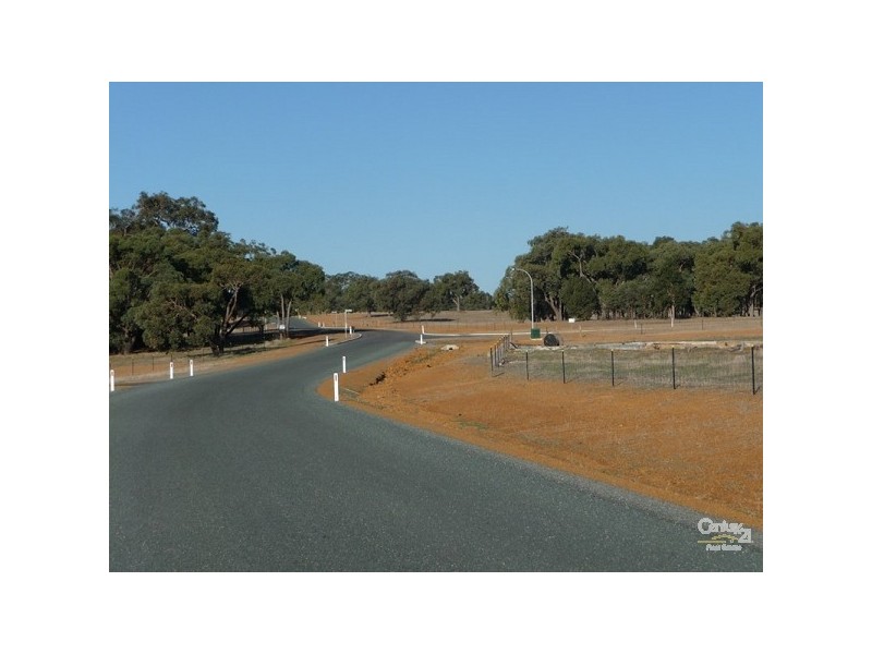 59 Turtledove Drive, Lower Chittering WA 6084