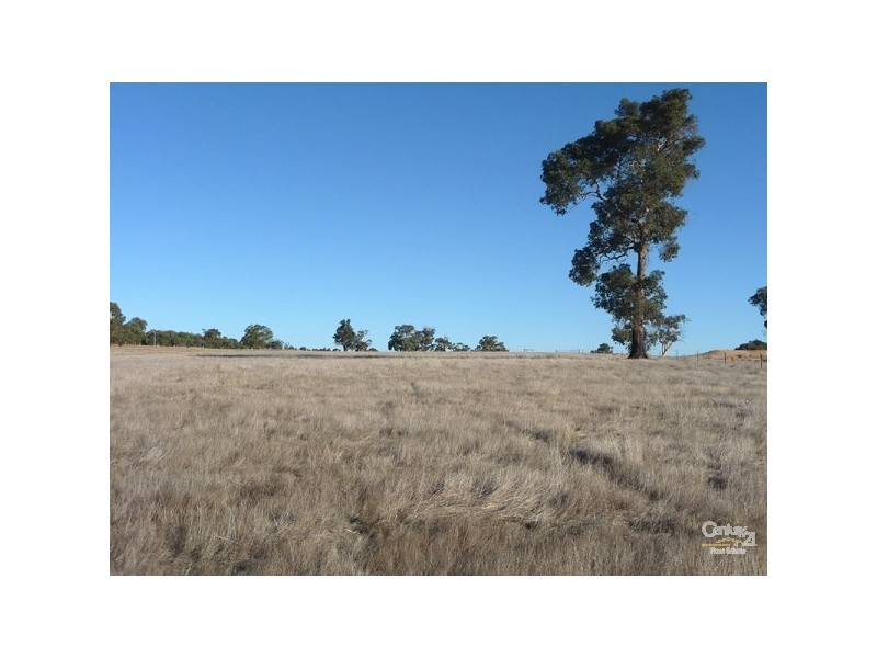 59 Turtledove Drive, Lower Chittering WA 6084