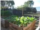 Lot 37, 1260 Almeria Parade, Bullsbrook WA 6084