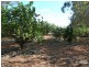 Lot 37, 1260 Almeria Parade, Bullsbrook WA 6084