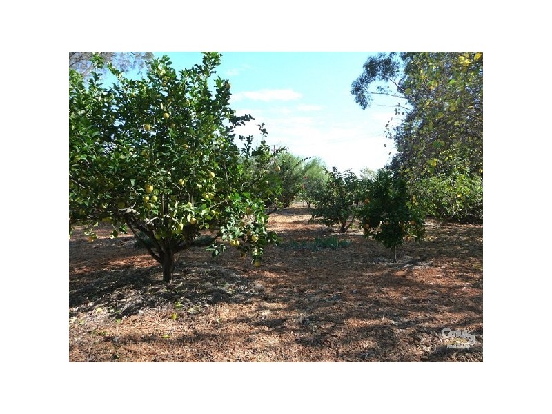 Lot 37, 1260 Almeria Parade, Bullsbrook WA 6084