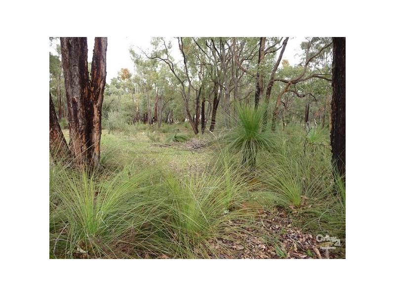 48 Ridgetop Trail, Bullsbrook WA 6084