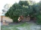 55 Eden Drive, Bullsbrook WA 6084