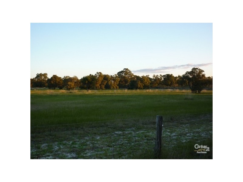 51 North Avenue, Bullsbrook WA 6084