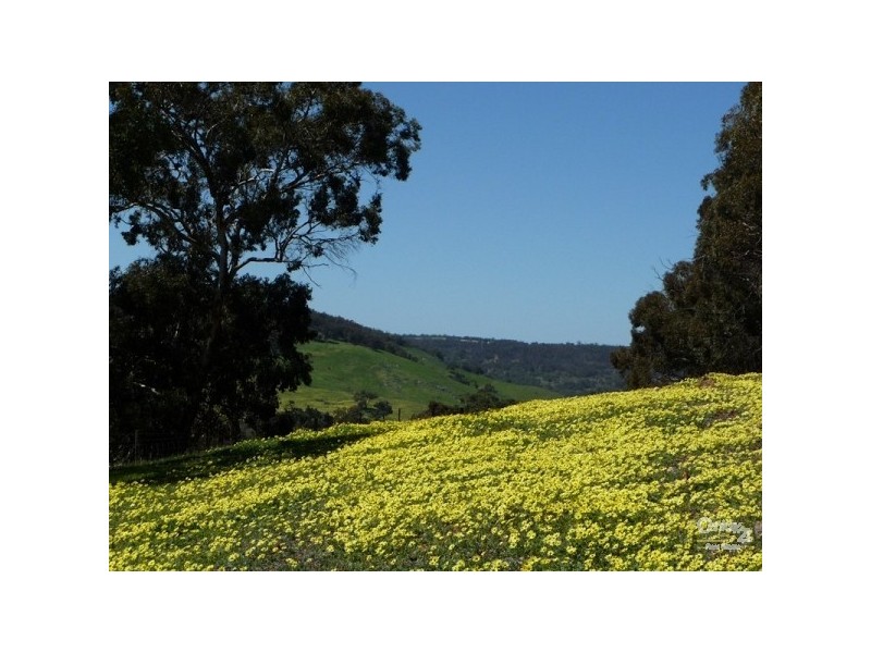 Lot 62 Wedgetail Ridge, Bullsbrook WA 6084