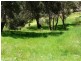 200 Ridgewood Loop, Bullsbrook WA 6084