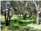 200 Ridgewood Loop, Bullsbrook WA 6084